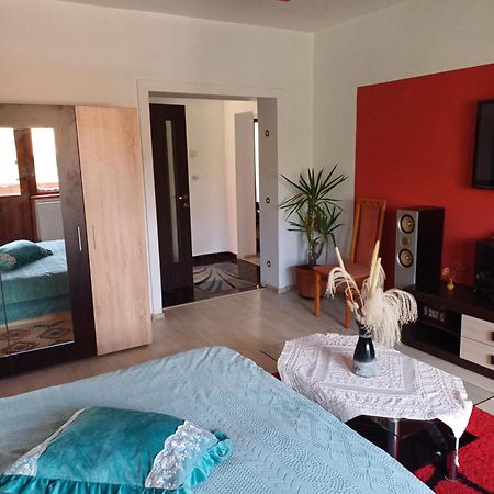 Apartament Cu Terasa La Casa Tina Timisoara Exterior photo