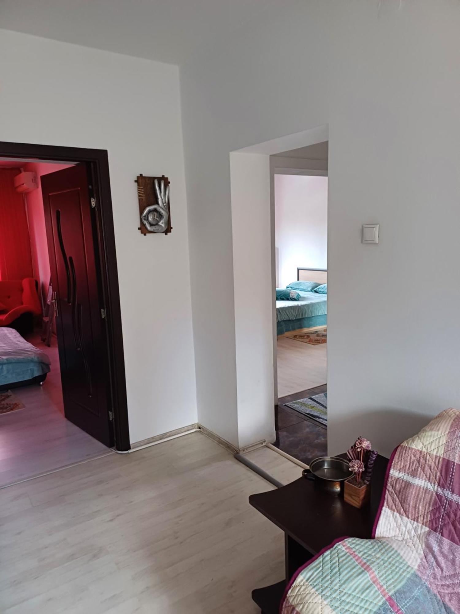 Apartament Cu Terasa La Casa Tina Timisoara Exterior photo